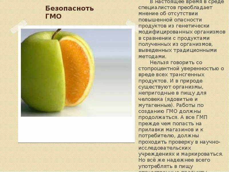 Как расшифровывается гмо. Трансгенные продукты. генетически модифицированные продукты. презентация на тему гмо. генетически модифицированные организмы.