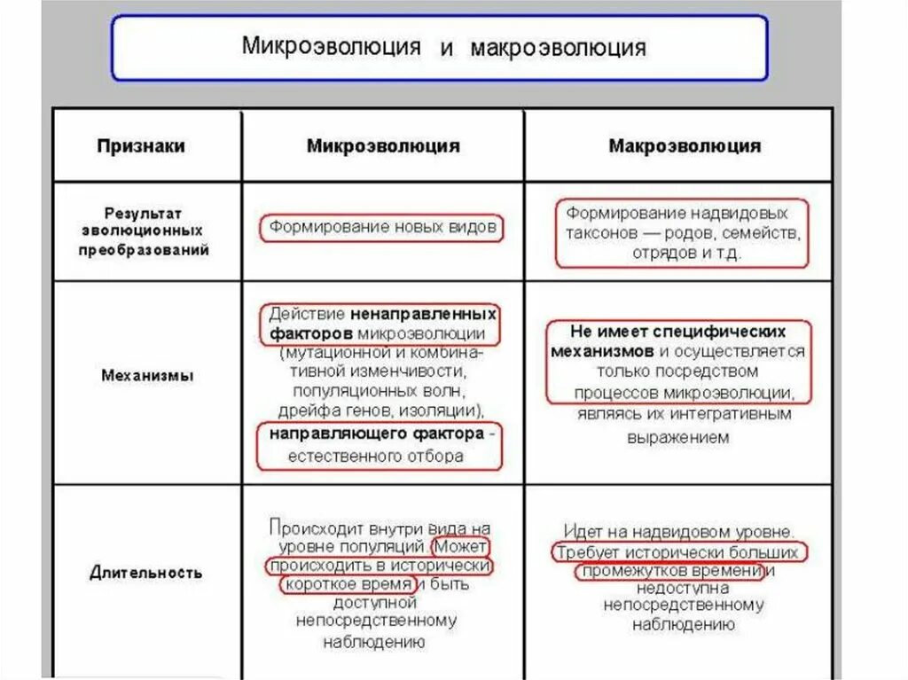 Признаки микро. Микроэволюция и Макроэволюция таблица. Сравнение микро и макроэволюции таблица. Понятие о микро и макроэволюции таблица. Микроэволюция и Макроэволюция сравнение таблица.