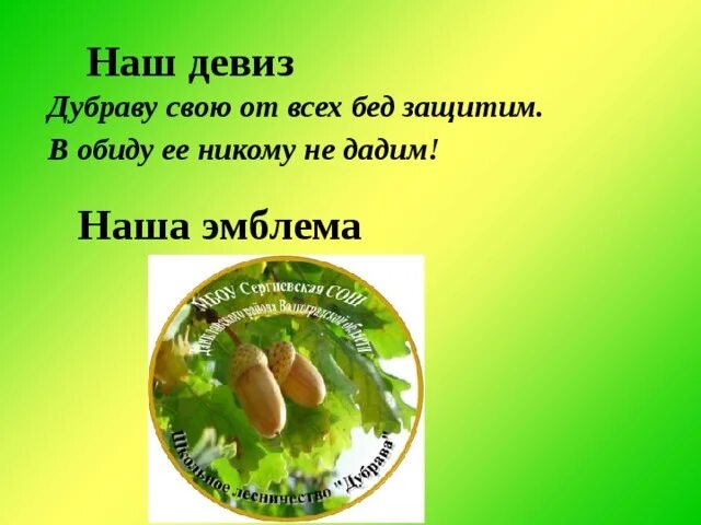 Девиз листьев. Придумать девиз для команды. девиз по экологии для команды. название и речевка.