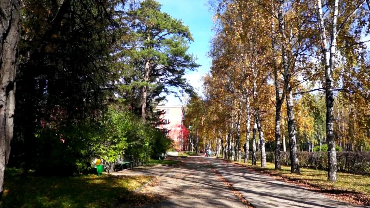 Улица ильича академгородок новосибирск. Новосибирск улица ильича 7. Улица ильича академгородок новосибирск. Улица ильича новосибирск. Академгородок городок имени ильича 10.