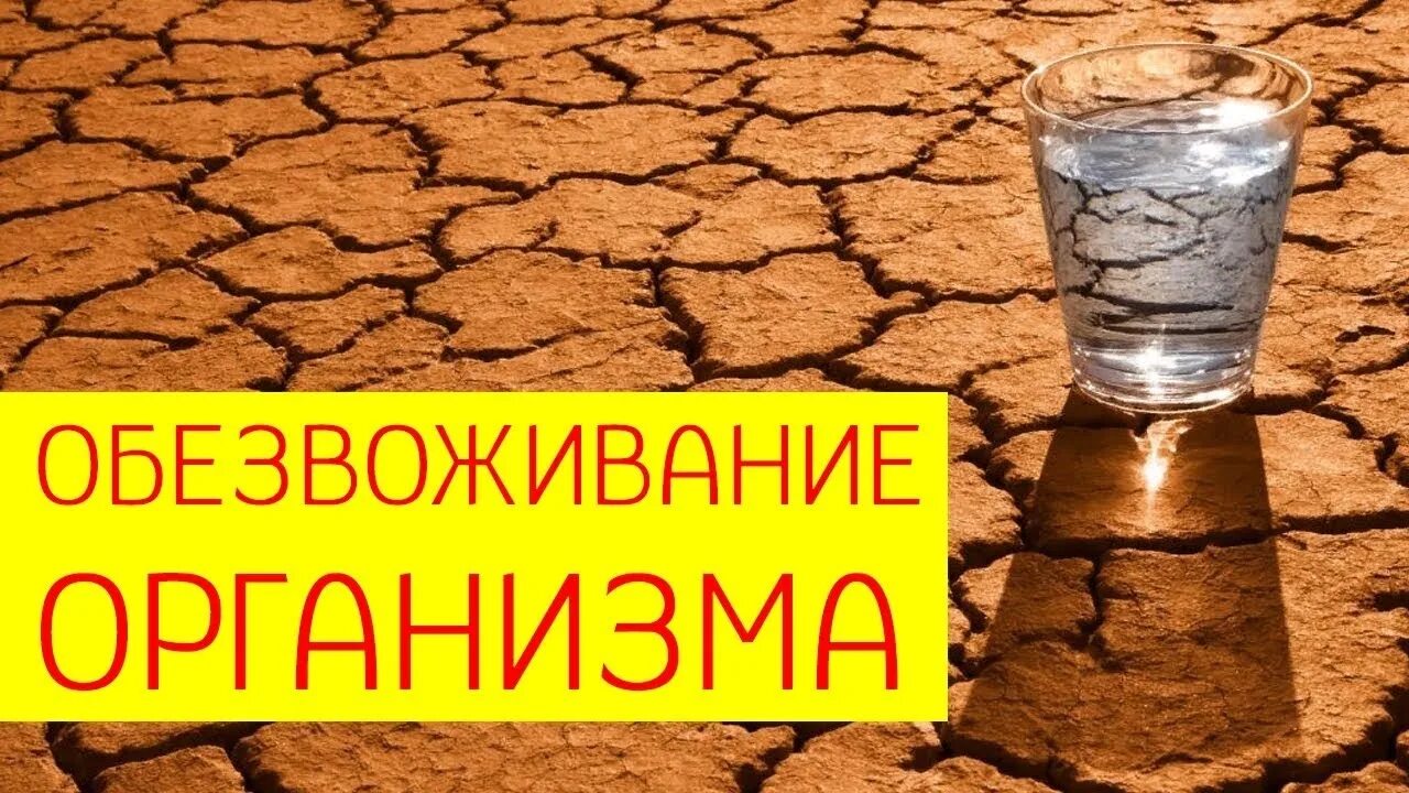 Организм теряет воду. Обезвоживание организма. Обезвоживание организма картинки. Обезвоживание воды. Обезвоженность организма.