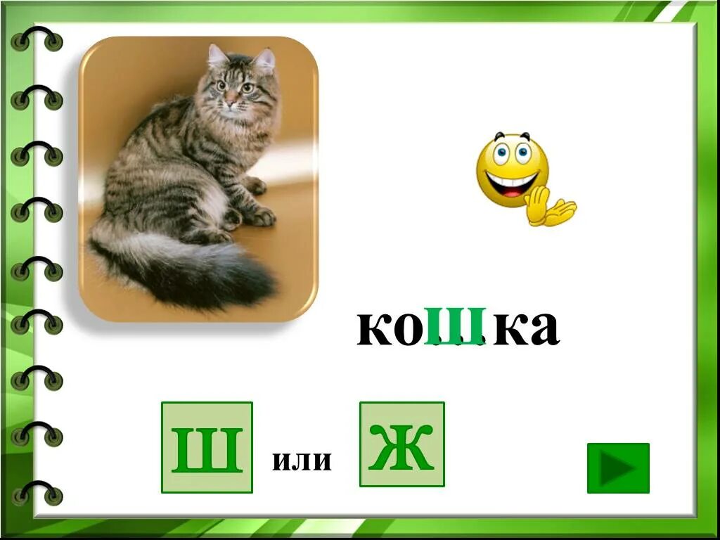 Ш. Ж или ш. Ка ка ш ка. Ко ш-ш-шки коротконожки. Слова ш ка