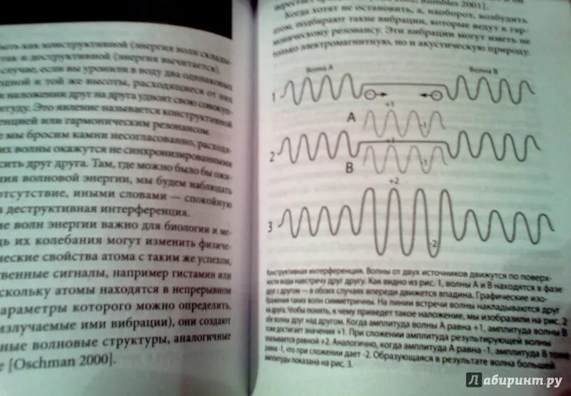Брюс липтон клетка. Брюс липтон умные клетки.