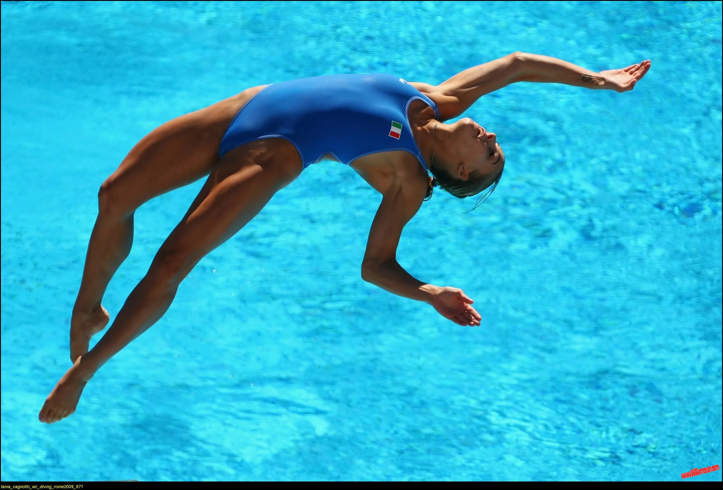 Прыжки в воду. Таня Каньотто swimming. Прыжки в воду девушки. Плавание прыжки в воду.