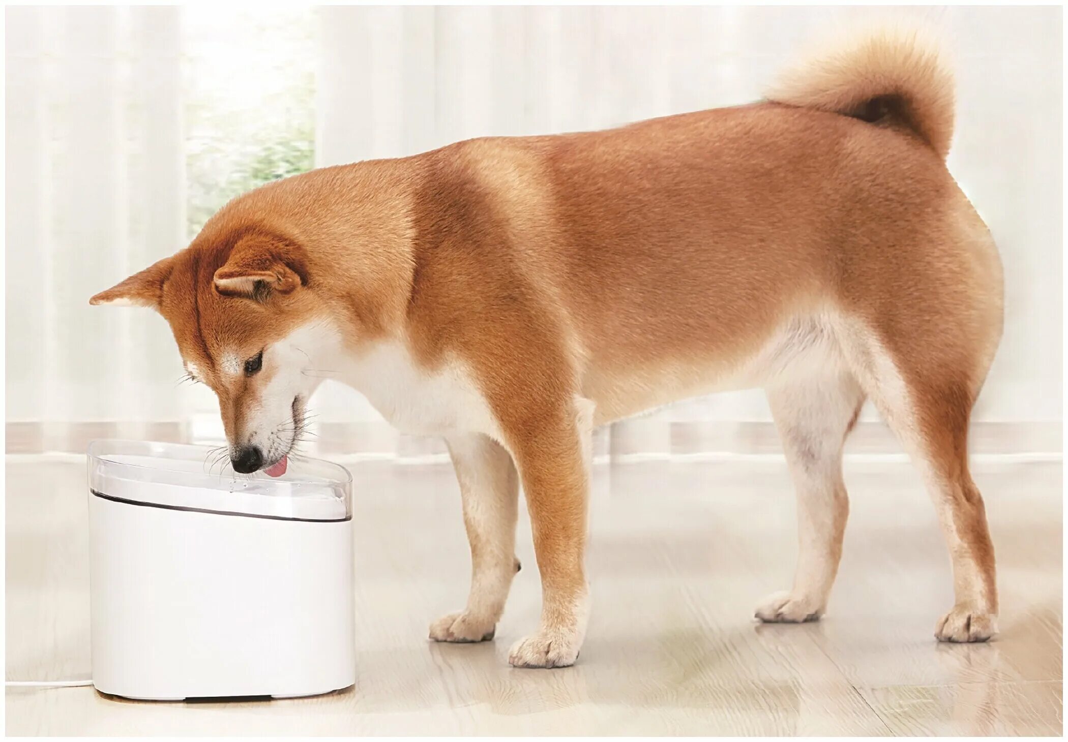 Xiaomi pet fountain. Xiaomi Smart Pet Fountain. Поилка умная Xiaomi Smart Pet Fountain. Фонтанчик для кошек Xiaomi. Поилка Сяоми для кошек.