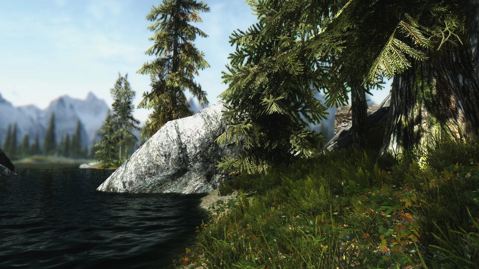 Realvision enb для skyrim. Enb skyrim le. Enb skyrim le. Скайрим enb мрачный. Енб скайрим ле.