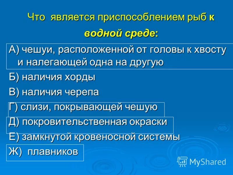 Что является приспособлением рыб к водной среде. Приспособленность рыб к водной среде. Адаптации рыб к водной среде. Приспособление рыб к водной среде не является.