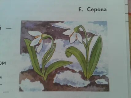 Стр 102 проект