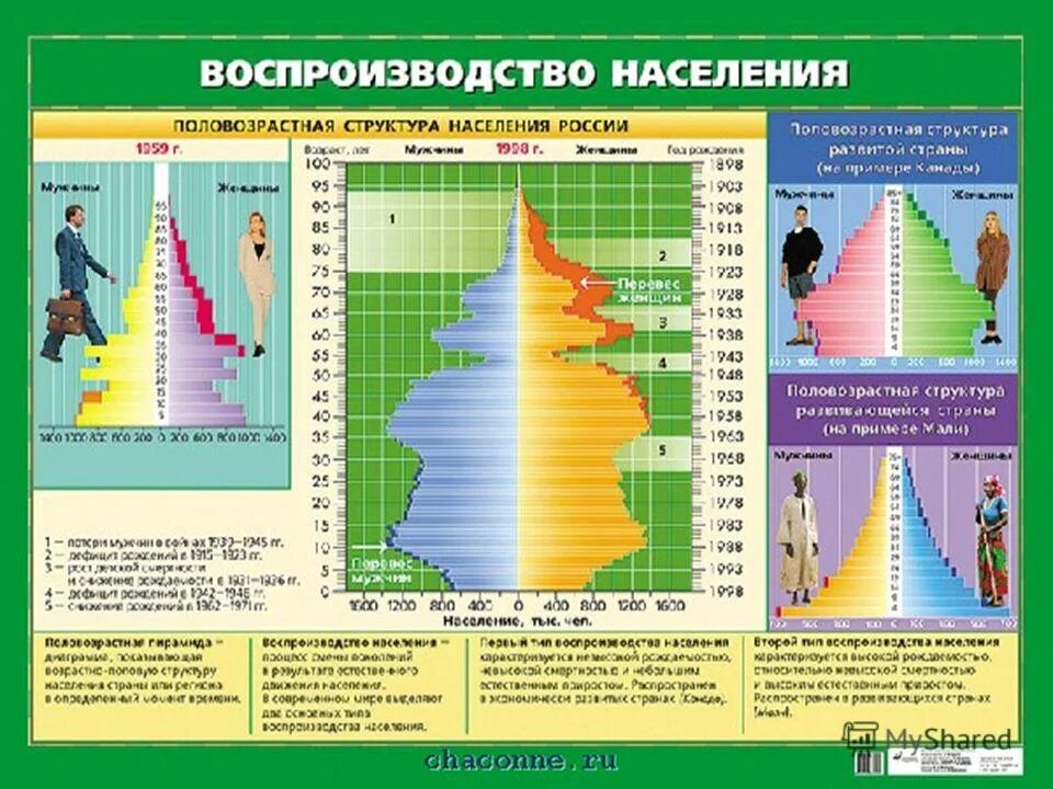 типы половозрастная пирамида населения. практическая работа по географии. практическая работа по географии по теме население. практическая работа по географии по теме население. практическая работа по плотности населения.