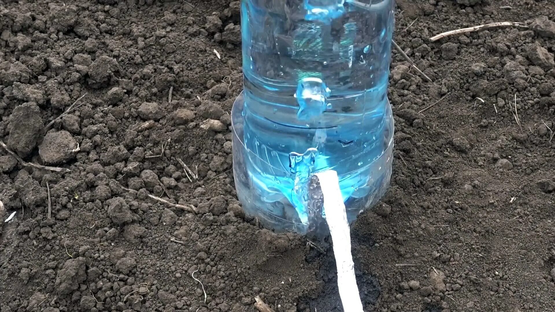 Капельный полив из бутылки. Полив в теплице из бутылок. Капельный полив из пластиковых бутылок. Пластиковые бутылки для полива огорода. Капельный полив огурцов в теплице.
