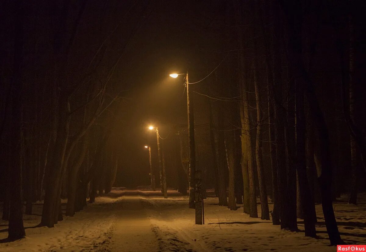 Ночной тропой постой а можно. Зимняя тропинка ночью. Тропинка в городе ночью. Зимняя ночь. Зимняя тропинка в лесу ночью.