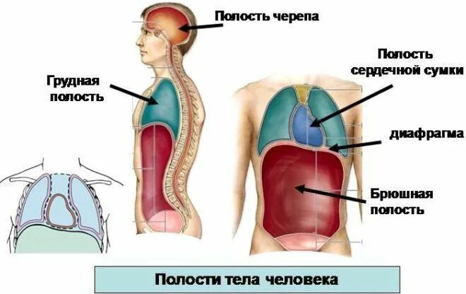 И др которые находятся. И др которые находятся
