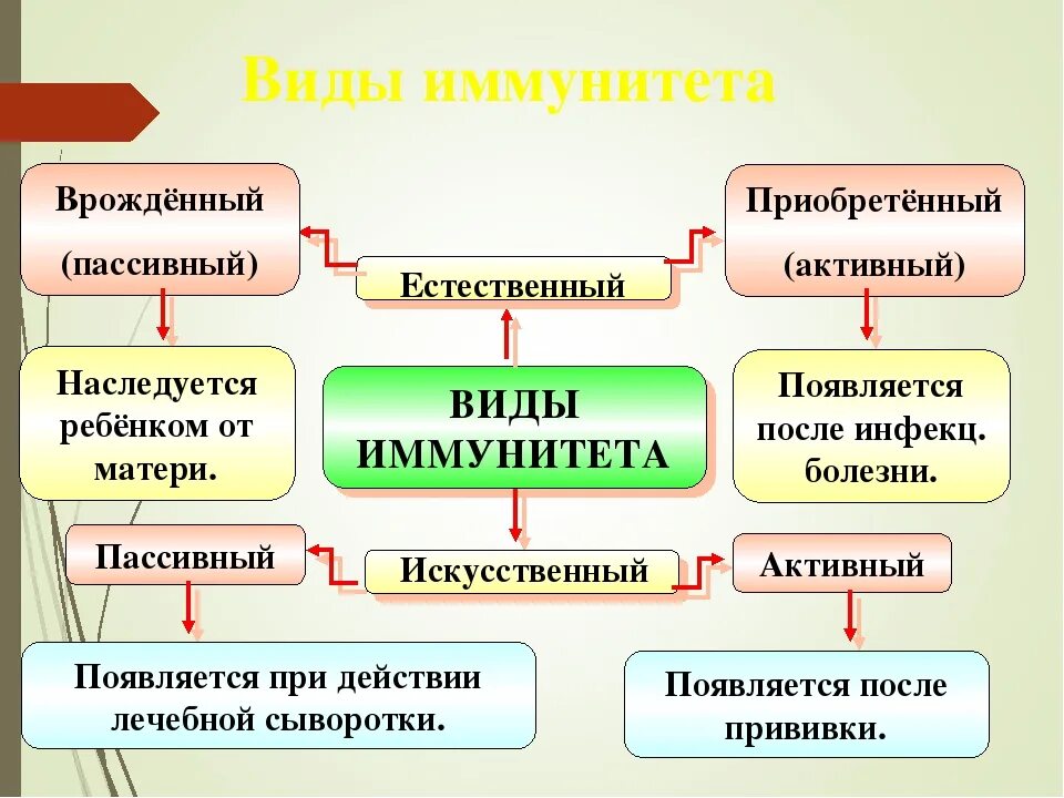 Активный иммунитет формируется в. Активный и пассивный приобретенный иммунитет. Иммунитет активный и пассивный естественный и искусственный. Приобретенный искусственный активный иммунитет. Активный пассивный врожденный иммунитет.