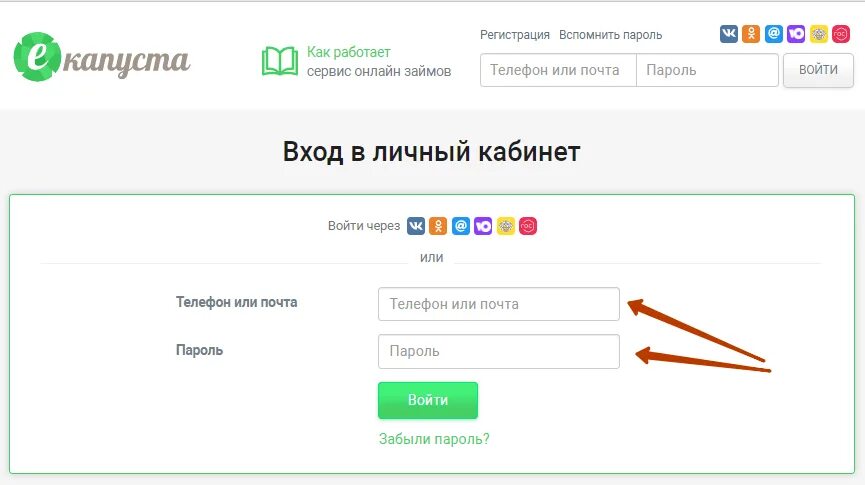 ЕКАПУСТА личный кабинет. Капуста займ личный кабинет. E капуста личный кабинет войти. ЕКАПУСТА займ личный кабинет войти по номеру телефона. Капуста личный кабинет вход телефон