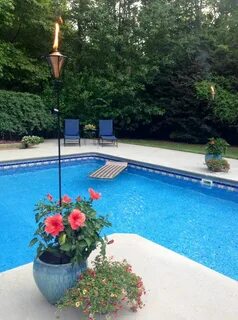 Plant pool