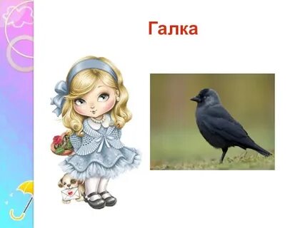 Нечего галка