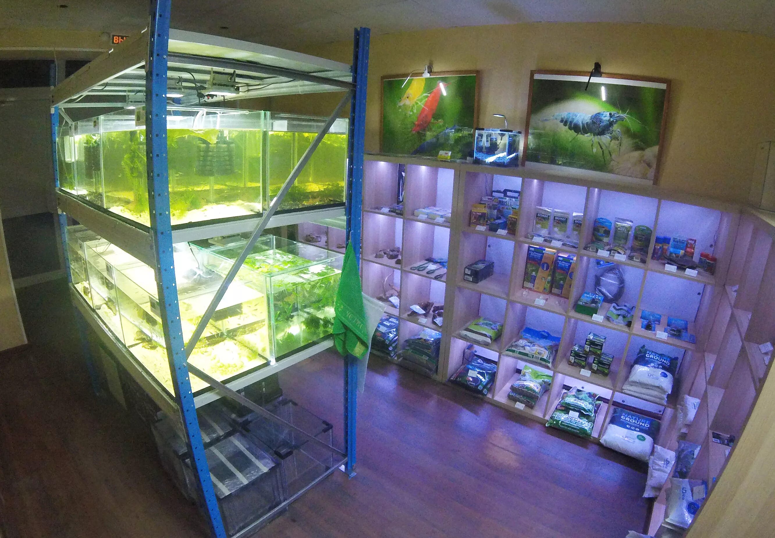 торговый рыбный дом. зоомагазин рыбки. вывеска для рыбного магазина фото. магазин рыбка дома. рыбный магазин на кольском 78 мурманск.