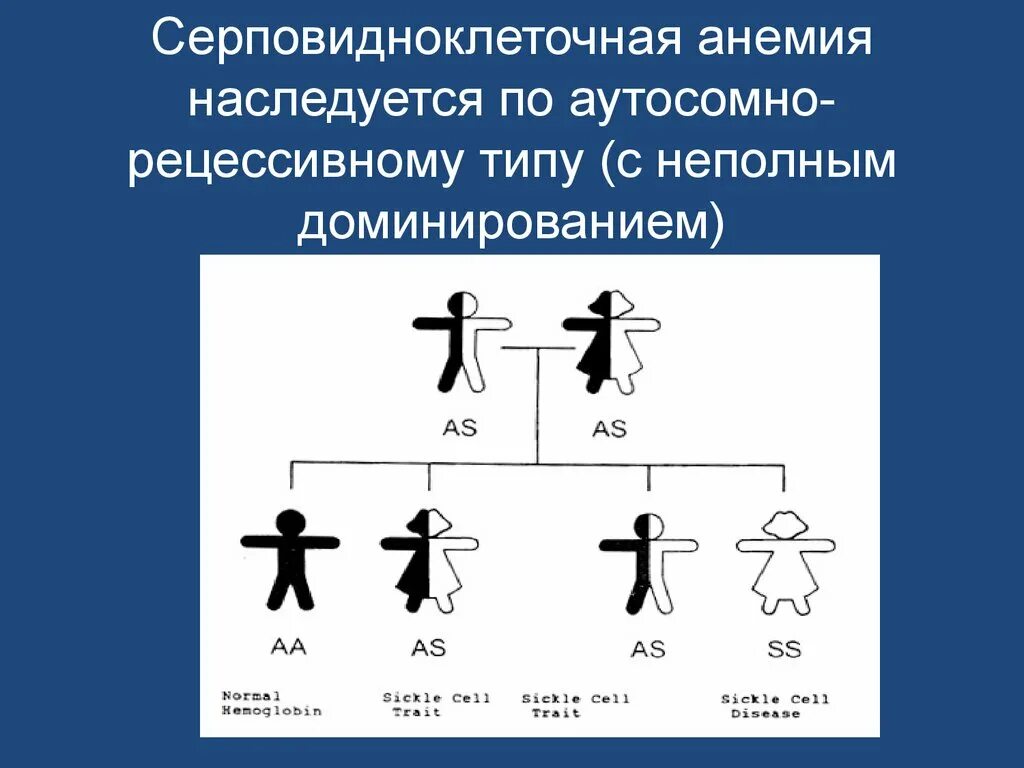 Серповидноклеточная Тип наследования. Серповидноклеточная анемия наследуется. Серповидно клетчатая анемия наследуется. Наследование серповидноклеточной анемии.