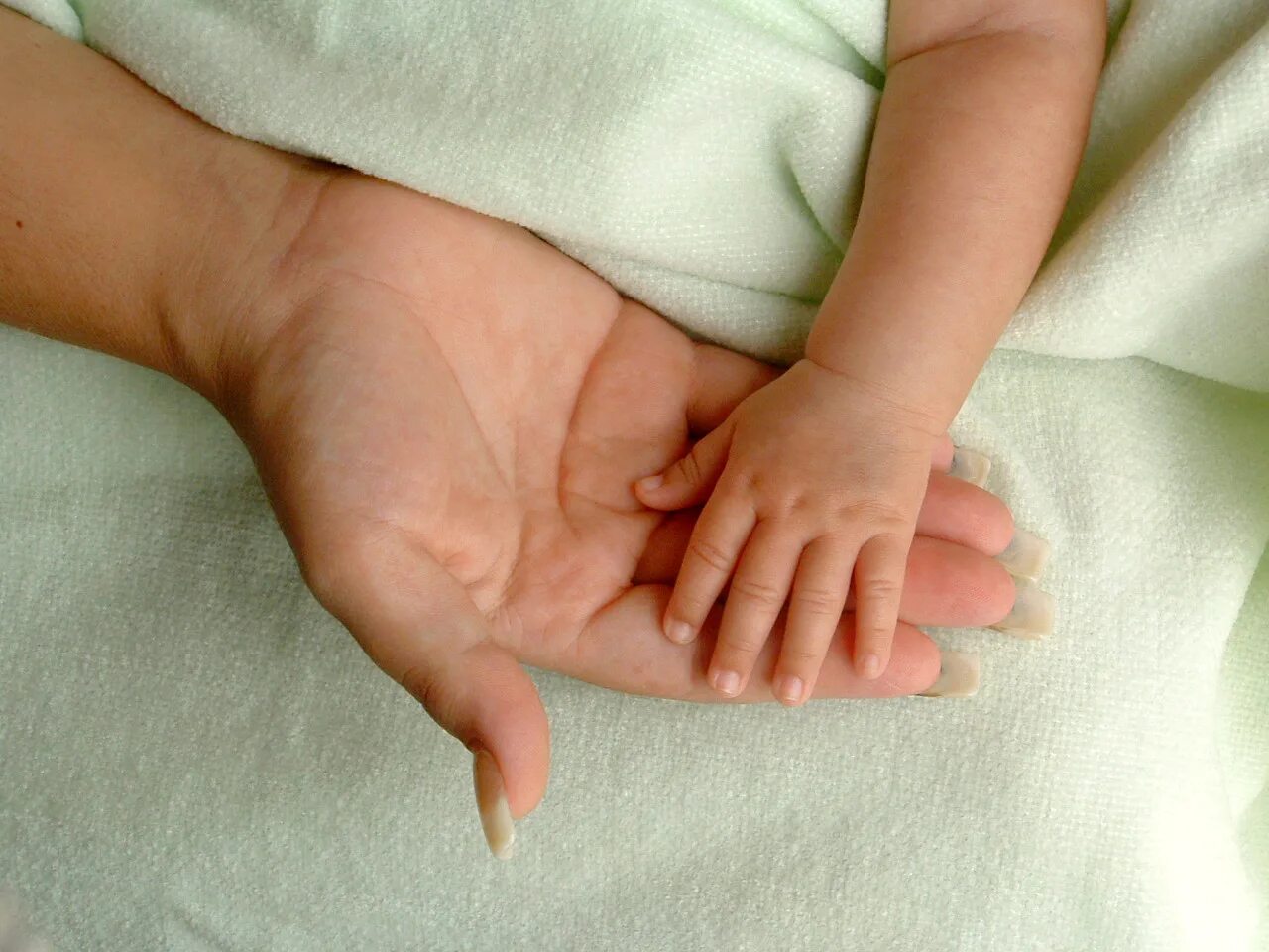 ручка малыша и мамы. малыши пальчики. маленькие ручки. ребенок. малыши пальчики.
