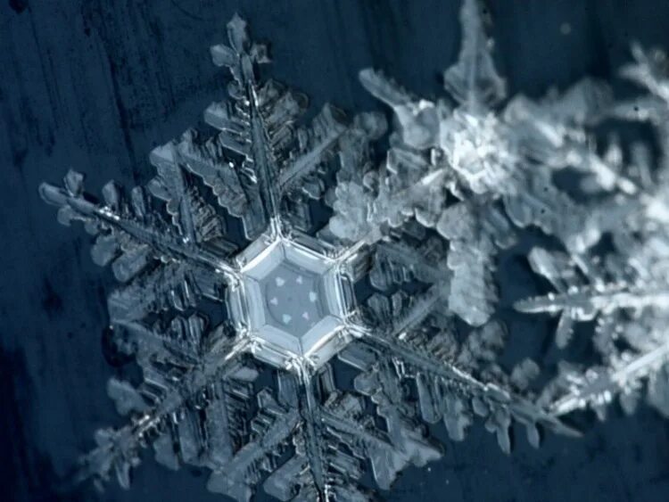 снежинки на льду. льдинка снежинка. льдинки кружева. снежинки обои лед. ледяной хрусталь.
