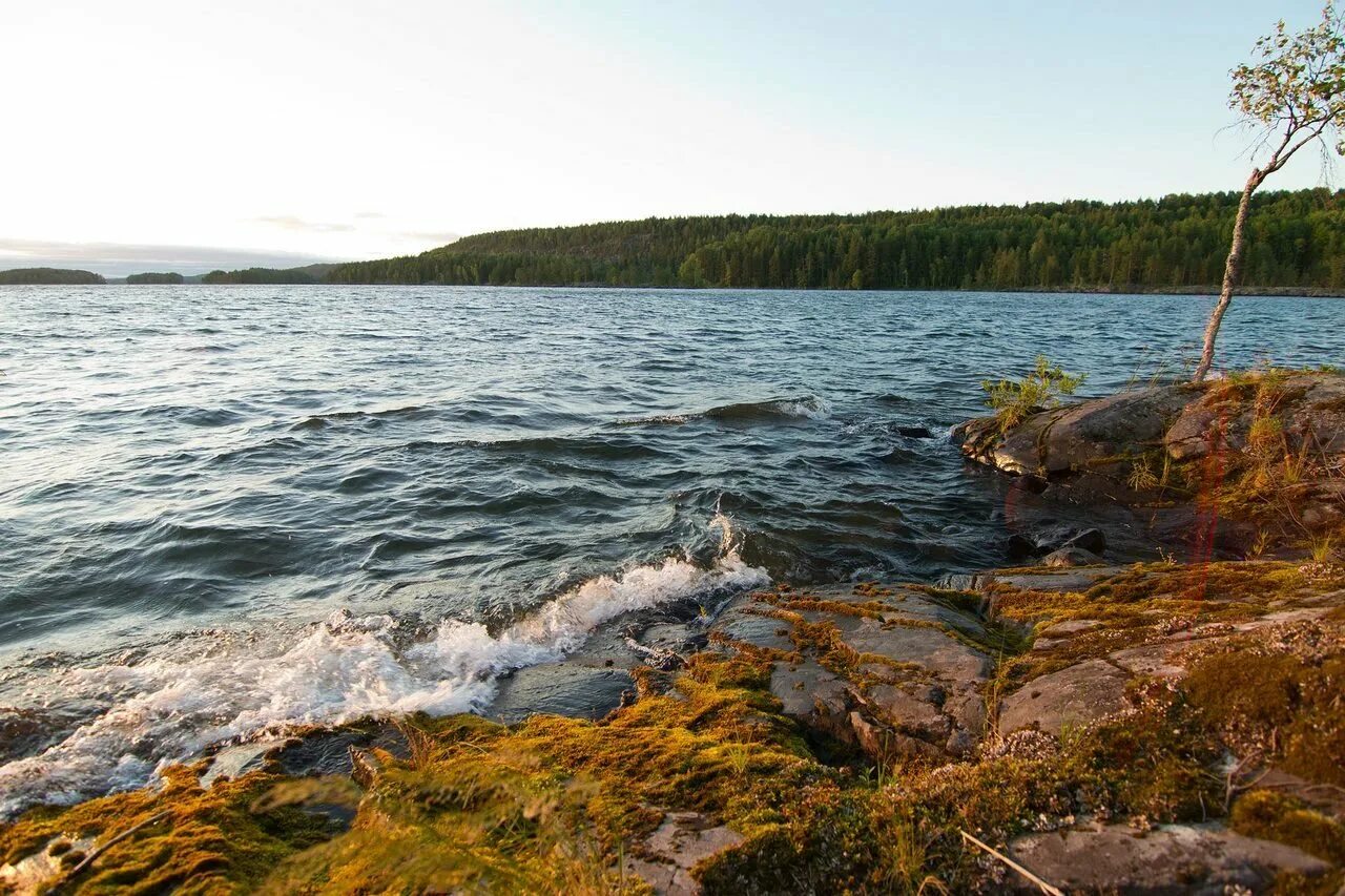 Ледниковые озера карелии. Озеро орзегское карелия. Знаменитые озера карелии. Знаменитые озера карелии. Река падас карелия.