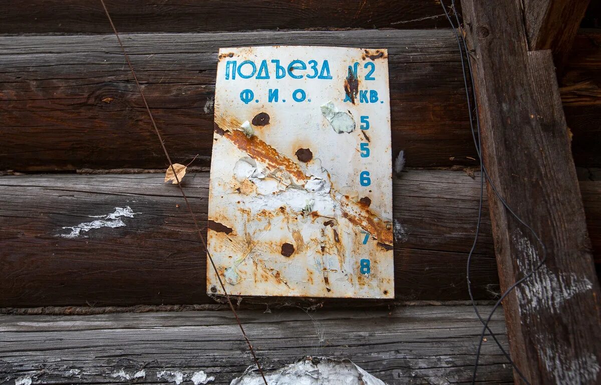 Поселок туголесский бор. Поселок туголесский бор. Туголесский бор лес. Туголесский бор ретро. Туголесский бор лес.