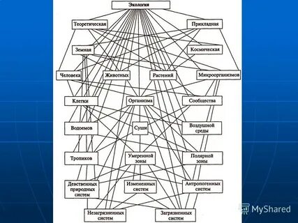 Теоретическая экология