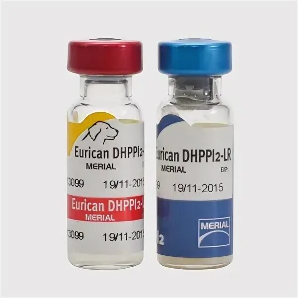 Эурикан DHPPI. Вакцина Эурикан dhppi2-LR. Эурикан dhppi2 вакцина для собак. Эурикан LR И dhppi2. Вакцина эурикан lr