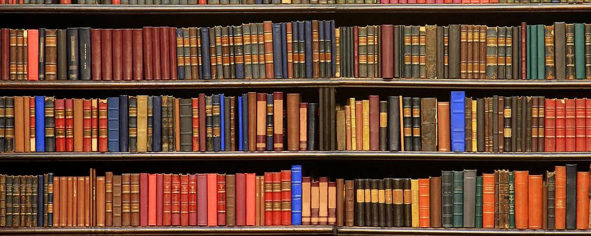 Книжки на полке. Много книг. Шкаф для книг. Книги в ряд. Библиотеки 45 книг