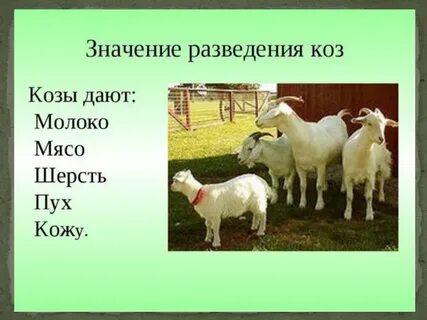 Для чего человеку домашние животные 2 класс
