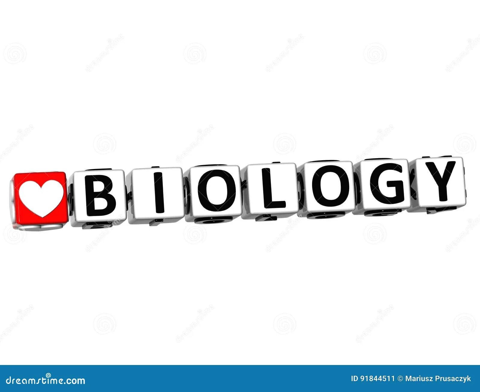 I love study. I love learning. Я люблю английский. Я люблю английский. I love study.