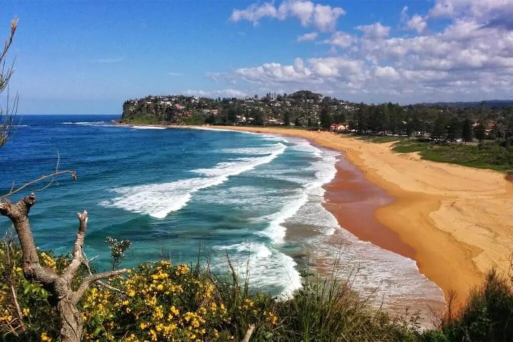 Южный Уэльс Австралия. NSW Австралия. Штат новый Южный Уэльс. Palm Beach. New South Wales, Австралия..