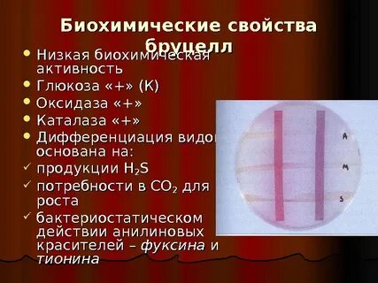 Характеристика биохимии