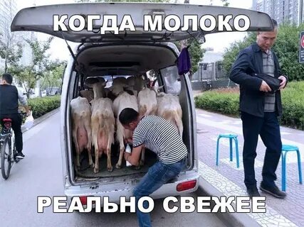 Дает всем без разбору