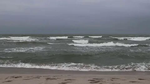 Волна балтики