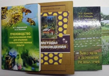 Пчеловодство кашковский лекции