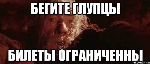 Глупцам нет покоя хонкай