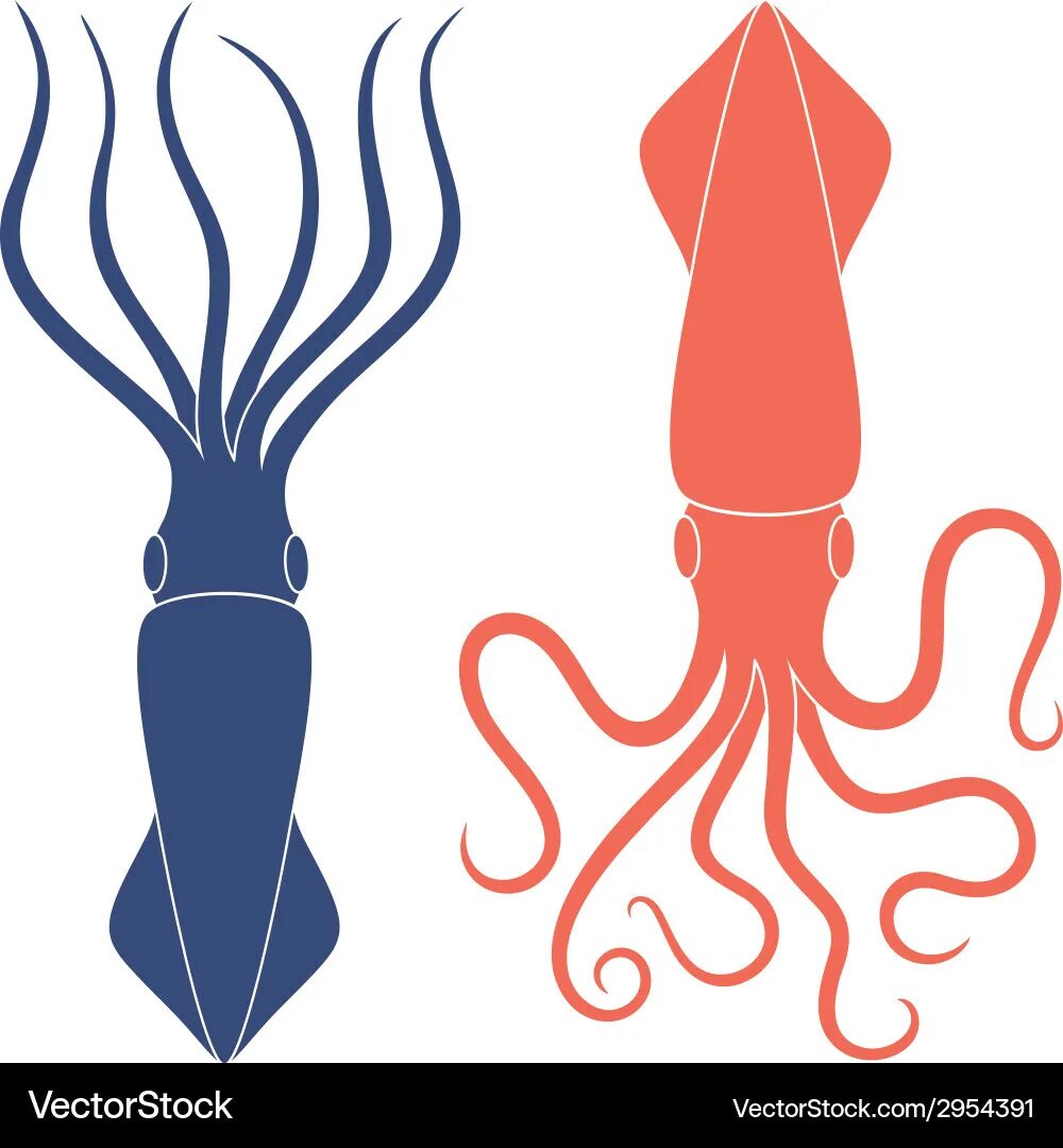 Squid scripts