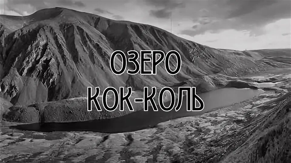 Где и коль. Смешные мемы с николаем. Озеро кок коль чудовище. Горн значение слова. Где и коль.