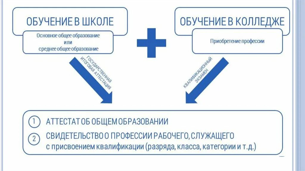 Профессиональное обучение. Проект профессиональное обучение без границ. Образование без границ. Профессиональное обучение в школе.