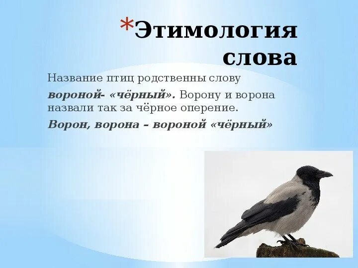Найти слово птицы 3. Ворона этимология. Происхождение слова ворона. Происхождение названий птиц. Ворона и Воробей.