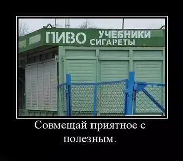 Приятное с полезным