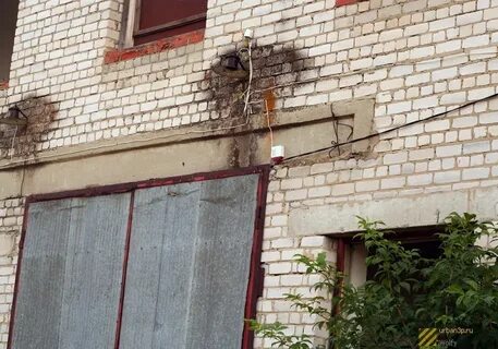 Зверосовхоз пушкино