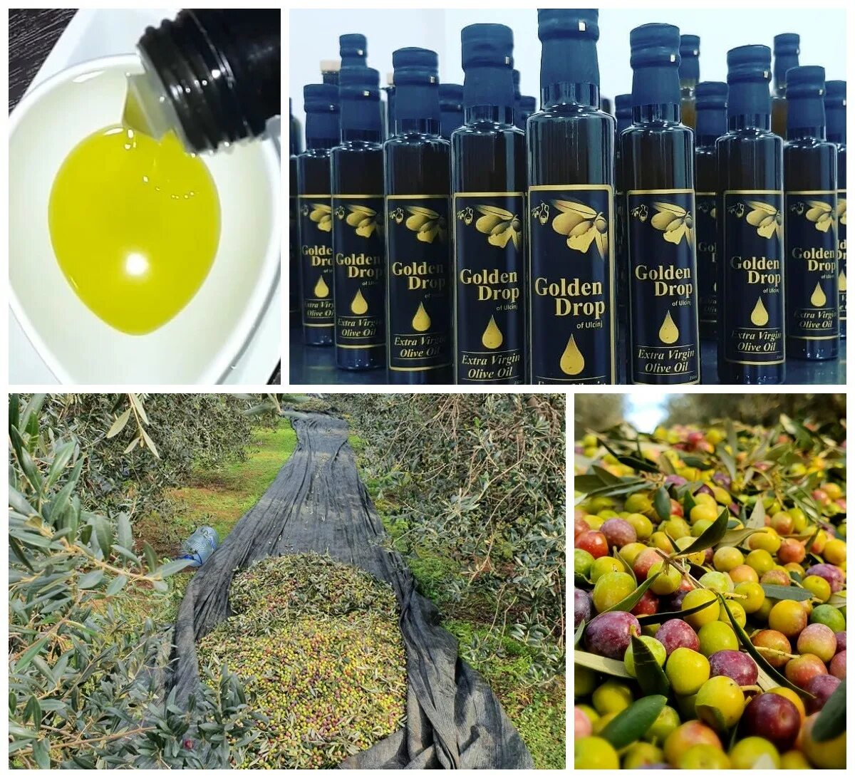 Как делают оливковое масло. Как делается оливковое масло. golden drop масло. из каких оливок делают оливковое масло. оливковое масло из косточек фото.