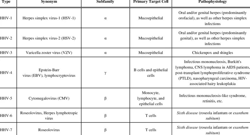 DNA hhv6 (герпесвирус 6 Тип) колич., копий /мл. Human herpes virus – HHV classification. Дифференциальная диагностика вируса herpes Simplex 1 и 2 типа.. Вирус герпеса 6 типа дифференциальная диагностика. Human herpes