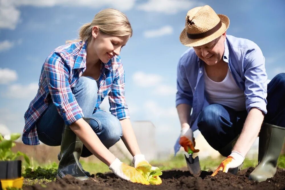 Planting plus. Труд на даче. Садовод огородник. Садовник в огороде. Люди на даче.