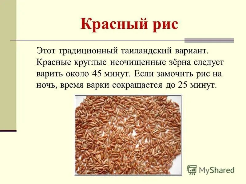 Варить бурый рис правильно. Рис бывает разных видов. Бурый рис пропорции воды и риса. Бурый рис соотношение воды. Бурый рис вкусный.