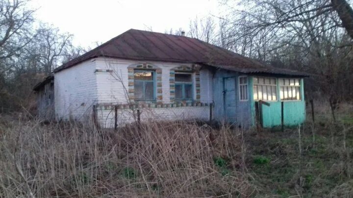Авито новомичуринск. Чижово рязанская область. деревня чижово кораблинский район. история села чижово рязанская область. авито рязанская область кораблинский р-н село ключ недвижимость.