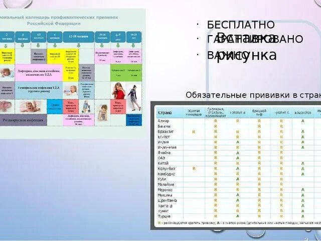 Национальный календарь профилактических прививок 2023. Схема вакцинации национальный календарь прививок. Календарь проф прививок 2023 национальный календарь прививок. Схема национального календаря профилактических прививок. Календарь прививок 2021.