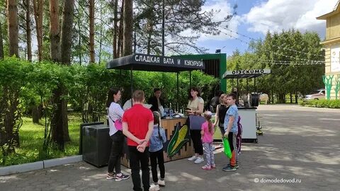 Парк елочки день защиты детей